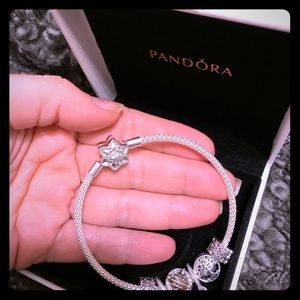 💯 Authentic Pandora Mesh Bracelet